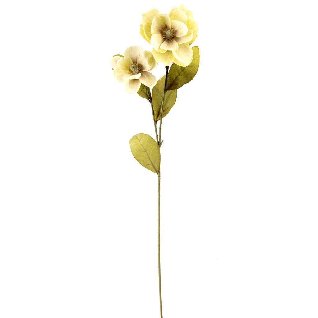 MP224743_1.jpg img